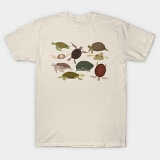 Sea Lands Turtles T-Shirt